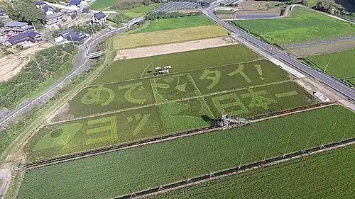 Tambo art depicting a red seabream in a rice paddy in Itoshima, Fukuoka Prefecture
