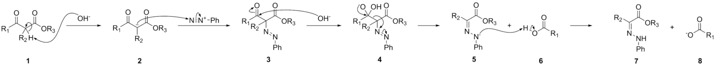The Japp-Klingemann reaction mechanism