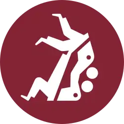 Judo at the 2020 Summer Paralympics pictogram