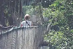 Kakum National Park – National Park