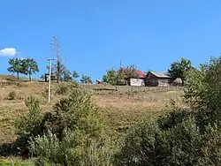Image of a hill in Kalica, Petnjica Municipality