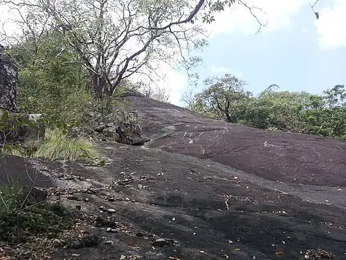 Kaludiya Pokuna Forest at Kandalama