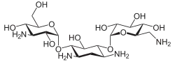 Kanamycin A