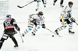 Photograph of ice hockey players during a match. Markus Nordlund is on the left in a black Jersey facing away from the camera, while Lukáš Kašpar and Mika Viinanen are on the right in white jerseys