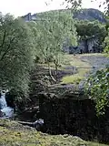 The mill, partly obscured by young birch trees, viewed from the road access bridge