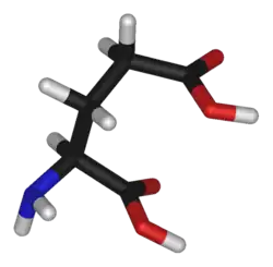 Chemical structure of the amino acid glutamate