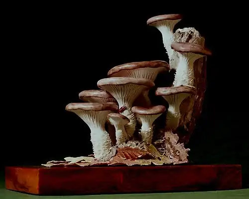 Porcelain Sculpture of Oyster Mushrooms & Comma Butterfly by Patrick O'Hara, created in 1973. Width 15 cm.