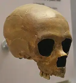 La Quina 18, a 7-8-year-old child