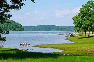 Lake, ducks, boats