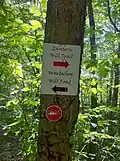 Lantern Hill Trail signs.