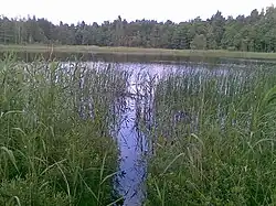 Lepaauk lake in Vaisi