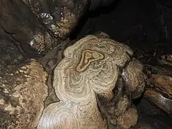 Bark like formation in Mawsmai Caves