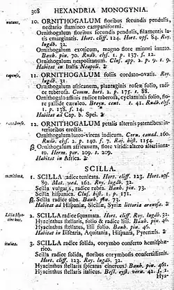 Linnaeus' original description of Scilla in 1753