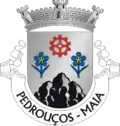 Coat of arms of Pedrouços