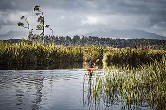 A kayaker on Mahināpua Creek