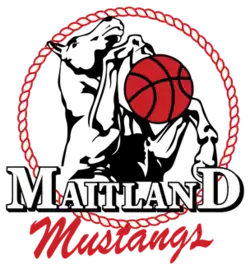 Maitland Mustangs logo