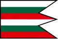 Flag of Malá Poľana