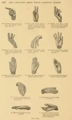Types of hand positions in sign language. Positions M through Y. M: Forefinger horizontal, fingers and thumb closed, palm outward. N: First and second fingers straight upward and separated, remaining fingers and thumb closed, palm outward. 0: Thumb, first and second fingers separated, straight upward, remaining fingers curved edge outward. P: Fingers and thumb partially curved upward and separated, knuckles outward. Q: Fingers and thumb, separated, slightly curved, downward. R: Fingers and thumb extended straight, separated, upward. S: Hand and fingers upright, joined, back outward. T: Hand and fingers upright, joined, palm outward. U: Fingers collected to a point, thumb resting in middle. V: Arched, joined, thumb resting near end of forefinger, downward. X: Hand horizontal, flat, palm upward. W: Hand horizontal, flat, palm downward. Y: Naturally relaxed, normal; used when hand simply follows arm with no intentional disposition.