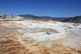 Crystallized calcium carbonate terraces