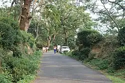 Mann Tea Estate, Dharamsala.