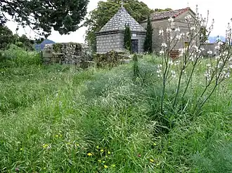 Ruins of the church of Santa Maria Assunta