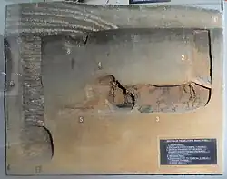 Burial horse grave Model of the excavation of the Melitopol kurgan.