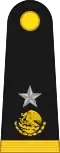 General brigadier (Mexican Army)[5]
