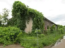 A red wooden building overgrown with plants