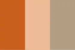 The "Milk Tea Alliance" flag created by netizens. The colours represent (from left) Thai milk tea, Taiwanese milk tea, and Hong Kong milk tea .