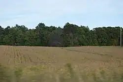 Soybean field along Pennsylvania Route 173