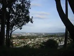 View of Millbrae, facing southeast from Junipero Serra Park, with SFO runways, the Westin SFO, and Millbrae station visible behind the trees on the left, Coyote Point Recreation Area and the San Mateo–Hayward Bridge visible behind them, The Magnolia of Millbrae, Mills-Peninsula Medical Center visible near the center of the image, and the Santa Cruz Mountains and the suburbs in their foothills on the right.