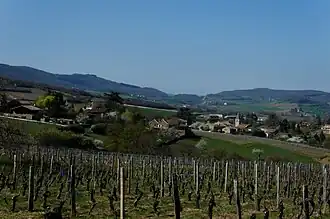 A general view of Milly-Lamartine