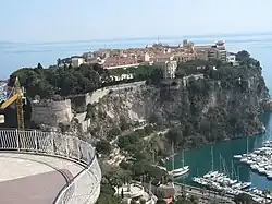 The Rock of Monaco from Monaco's exotic garden