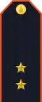 Service uniform shoulder board (Lieutenant)