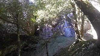 More caves near Drupal