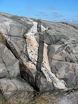 An igneous intrusion cut by a pegmatite dike, which in turn is cut by a dolerite dike
