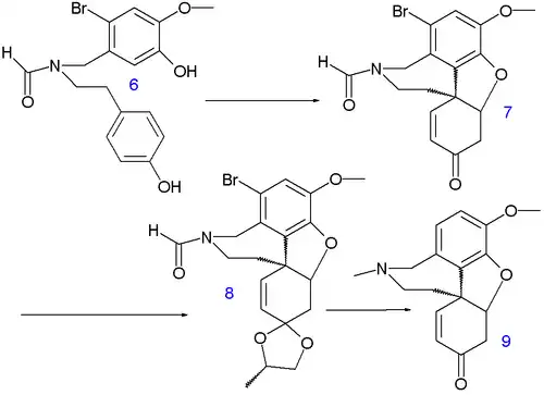 Narwedine synthesis A
