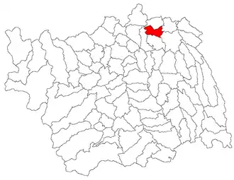 Location in Bacău County