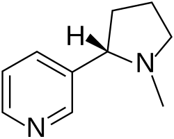 The alkaloid nicotine from tobacco binds directly to the body's Nicotinic acetylcholine receptors, accounting for its pharmacological effects.[8]