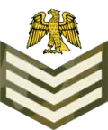 Staff sergeant (Nigerian Army)[37]