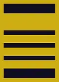Flight suit sleeve insignia for a colonel (1987–2000)