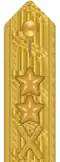 Shoulder mark on uniform m/87 (Army) (1987–present)