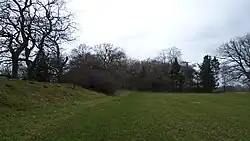 countryside with trees in the distance, the earthwork on the left is Offa's Dyke