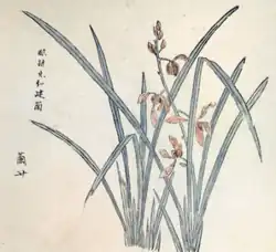 Orchid – Hu Zhengyan (1633)