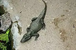 Berlin Zoological Garden, Germany