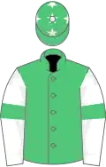Emerald green, white sleeves, emerald green armlets, white stars on cap