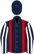 Dark blue, red braces, dark blue and white striped sleeves