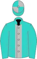 Turquoise, silver stripe, quartered cap