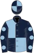 Dark blue and light blue (quartered), dark blue sleeves, light blue spots