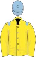 Yellow, light blue epaulets, light blue cap